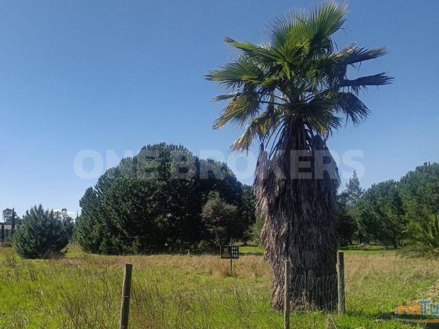 Terreno venda em Benavente, Santarém
