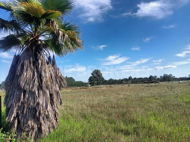 Terreno venda em Benavente, Santarém