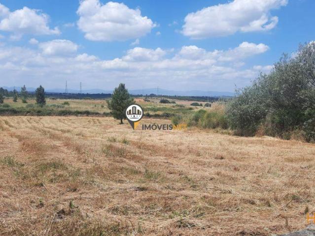 Terreno venda em Castelo Branco
