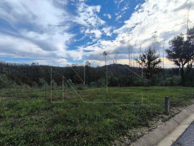 Terreno venda em Cavadas de Baixo, Águeda
