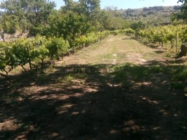 Terreno venda em Quinta do Anjo, Palmela