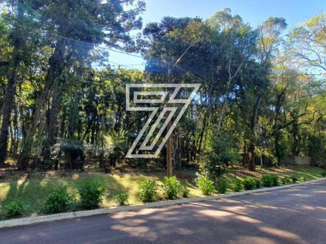 Terreno venda em Região Geográfica Imediata de Curitiba, Região Metropolitana de Curitiba