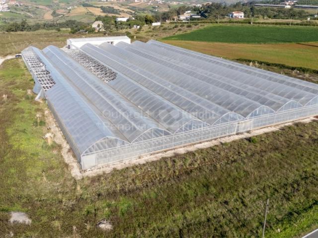 Terreno venda em Santo Isidoro, Mafra