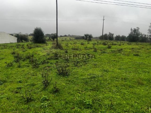 Terreno venda em Santarém