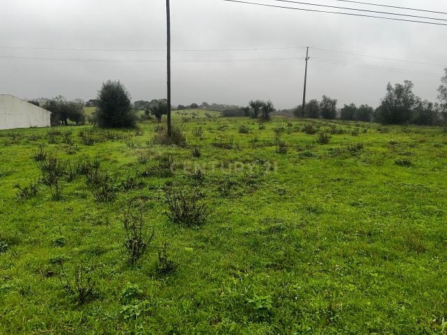 Terreno venda em Santarém