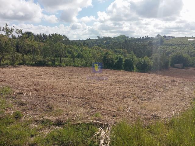 Terreno venda em Bombarral, Leiria