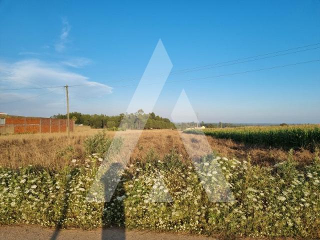 Terreno venda em Ponte De Vagos, Aveiro