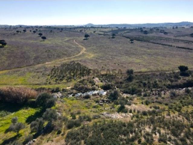 Terreno venda em Almodôvar, Beja