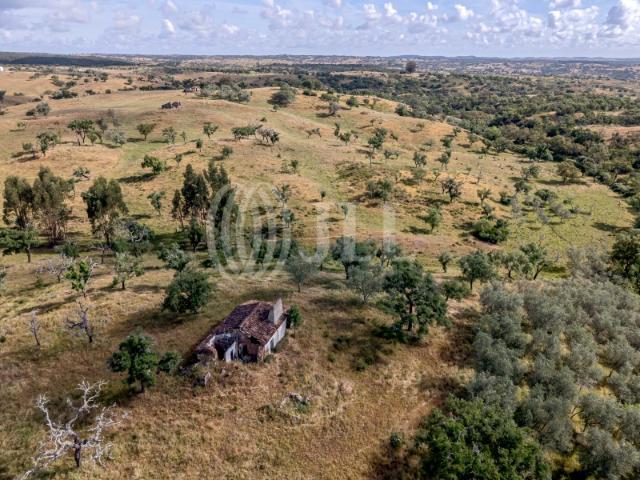 Terreno venda em Santiago Do Cacém, Setúbal