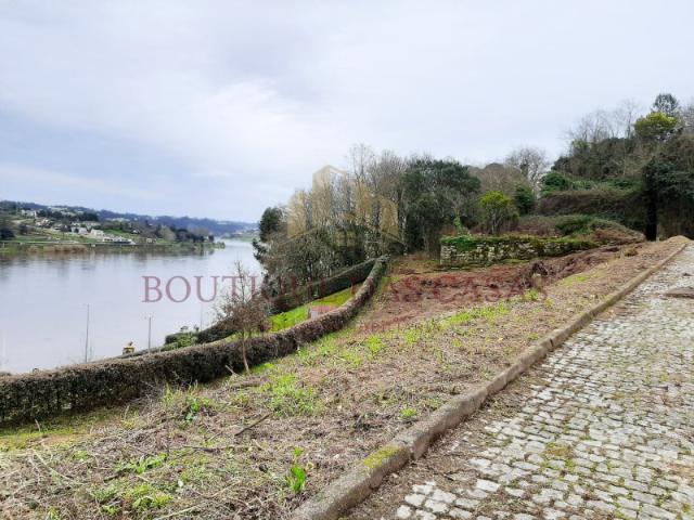 Terreno venda em Oliveira Do Douro, Oliveira do Douro