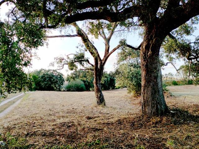 Terreno venda em Bárrio, Alcobaça