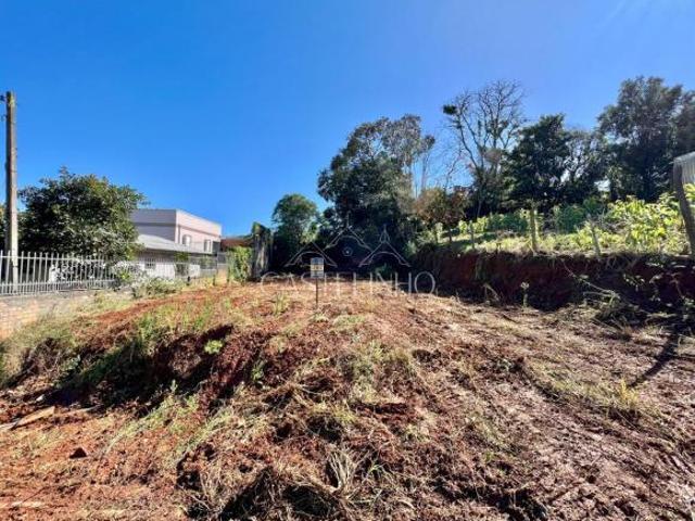 Terreno venda em Região Geográfica Imediata de Erechim, Barão de Cotegipe