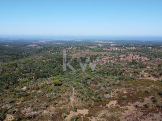 Terreno venda em Grândola, Setúbal
