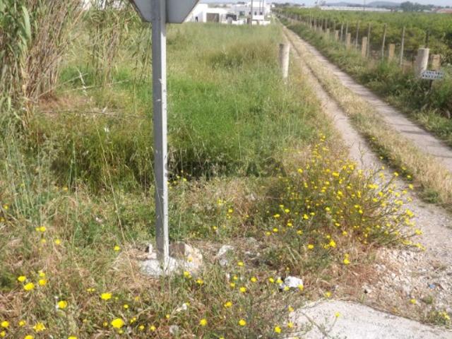 Terreno venda em Olhão, Faro