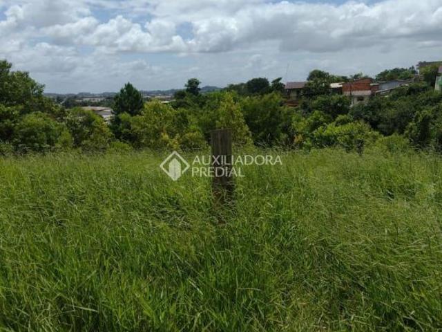 Terreno venda em Região Geográfica Imediata de Porto Alegre, Região Metropolitana de Porto Alegre