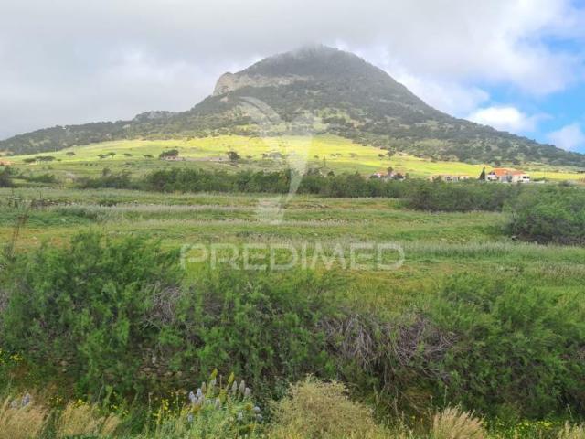 Terreno venda em Pedras Pretas, Porto Santo