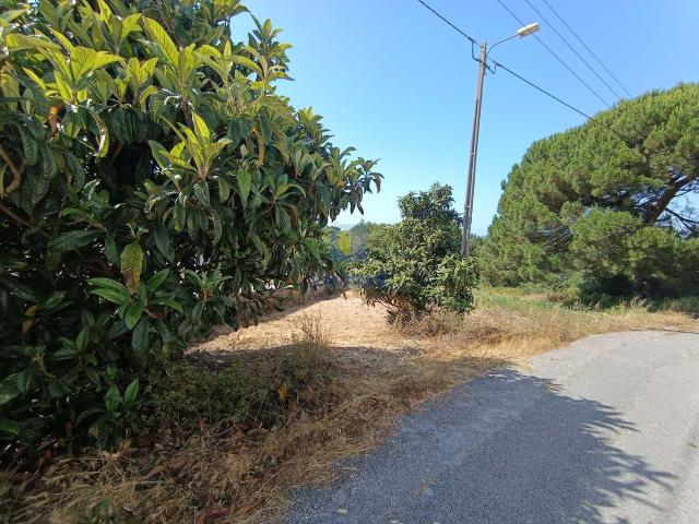 Terreno venda em Reguengo da Parada, Caldas Da Rainha