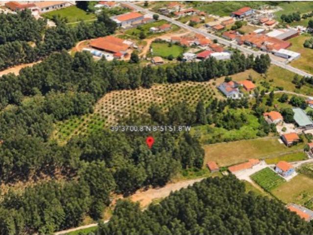Terreno venda em Porto De Mós, Leiria