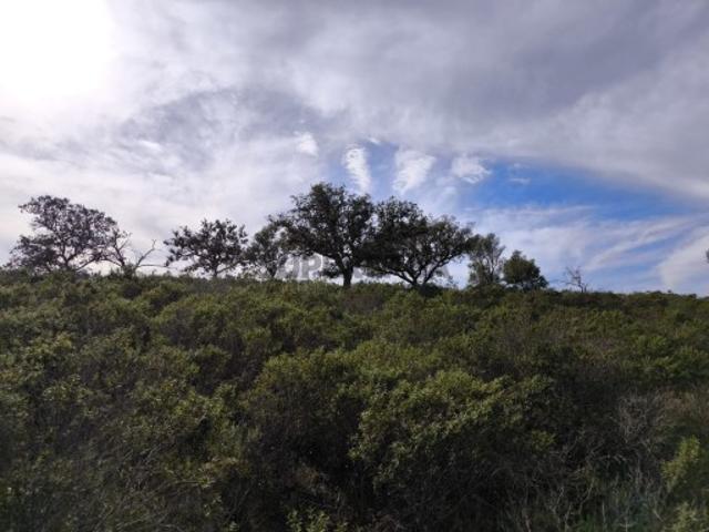 Terreno venda em Foz de Odeleite, Castro Marim