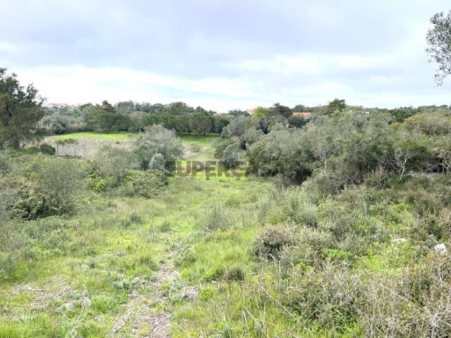 Terreno venda em Sesimbra (Castelo), Sesimbra