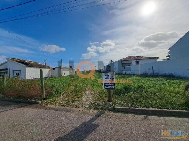Terreno venda em Alpiarça, Santarém