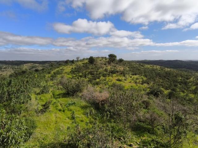Armazém venda em Sentinela, Castro Marim