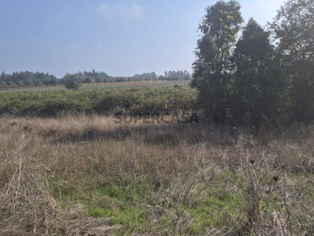 Terreno venda em Anadia, Aveiro