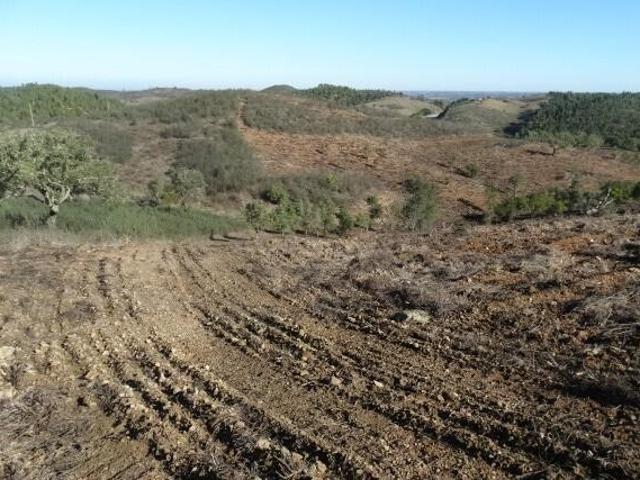 Terreno venda em Ourique, Beja