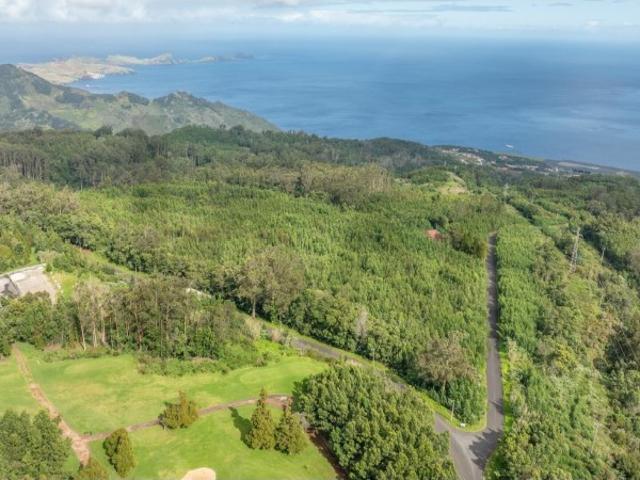 Terreno venda em Machico, Ilha Da Madeira
