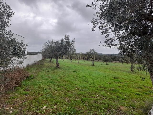 Terreno venda em Favacal, Ourém
