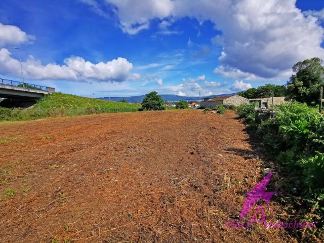 Terreno venda em Viana Do Castelo