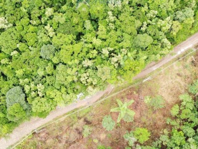 Terreno venda em Região Geográfica Imediata de Paranaguá, Morretes