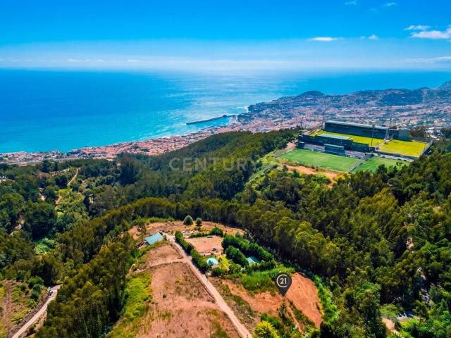 Terreno venda em Palmeira, Funchal