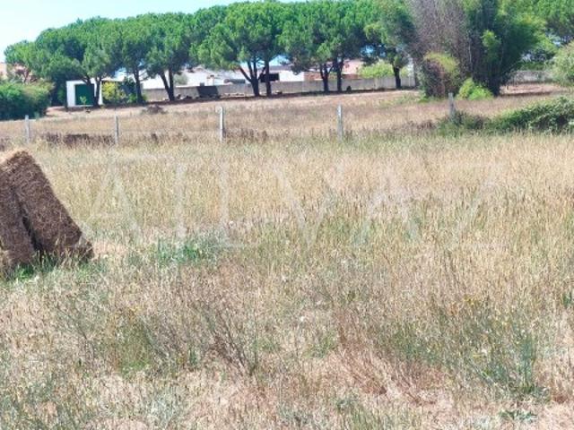 Terreno venda em Odemira, Beja