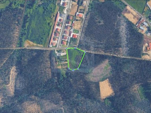 Terreno venda em Pinheiro da Bemposta, Travanca e Palmaz, Oliveira de Azeméis