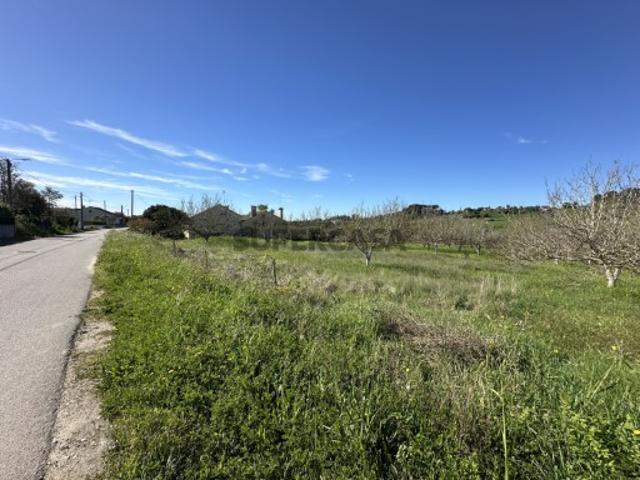 Terreno venda em Tomar, Santarém