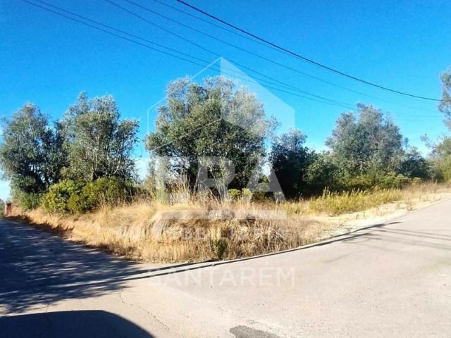 Terreno venda em Achete, Azoia de Baixo e Póvoa de Santarém, Santarém