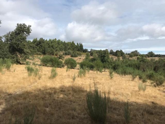 Terreno venda em Lamego, Viseu