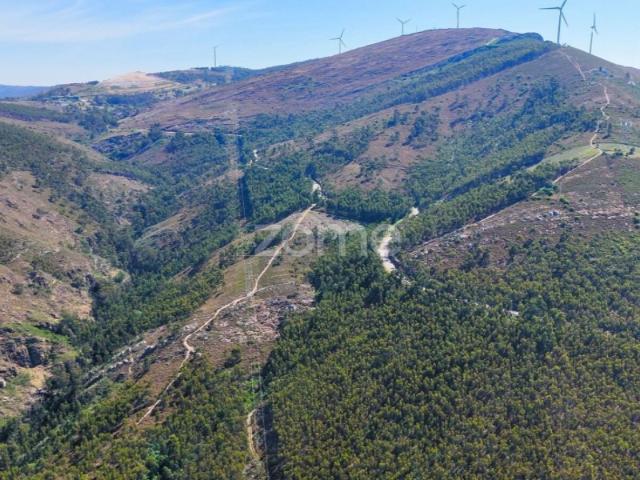 Terreno venda em Marecos, Porto