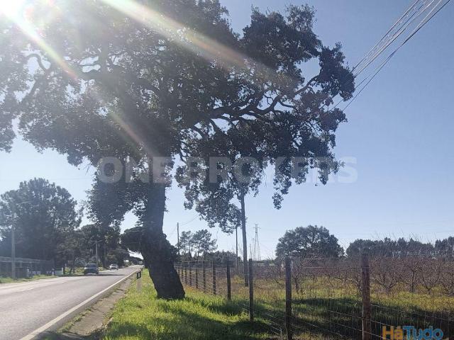 Terreno venda em Benavente, Santarém