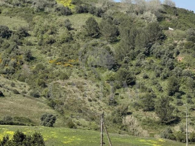 Terreno venda em Alenquer, Lisboa