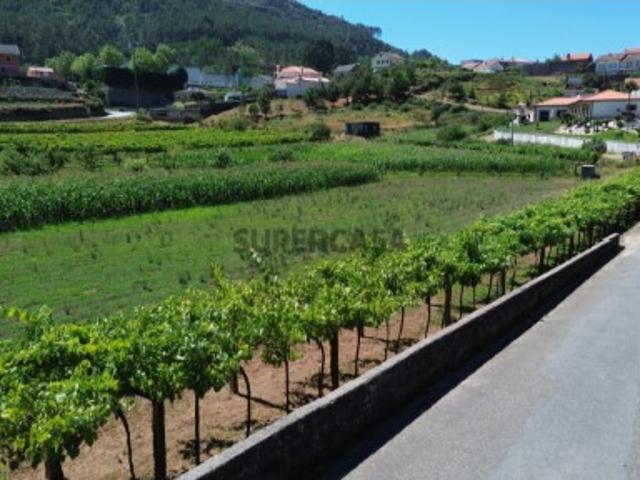 Terreno venda em Ponte De Lima