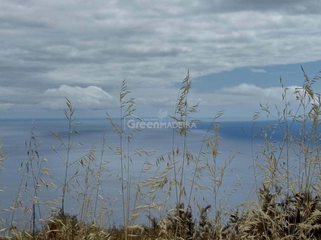 Terreno venda em Fajã Da Ovelha, Ilha Da Madeira