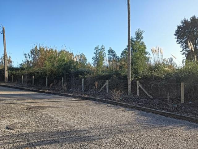 Terreno venda em São Bernardo, Aveiro