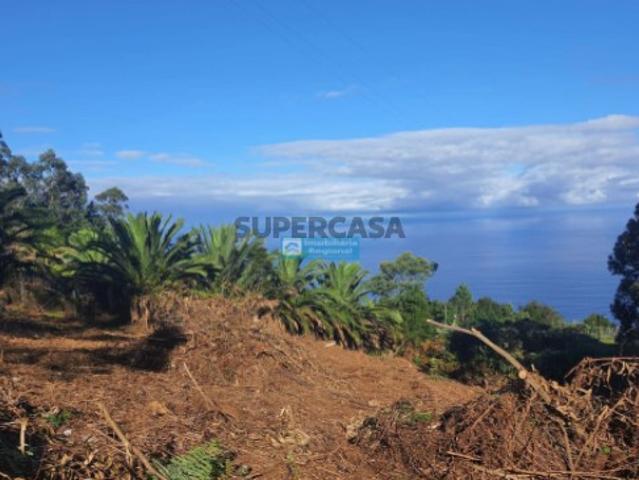Terreno venda em Santana, Ilha Da Madeira