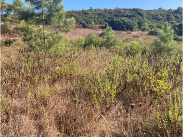 Terreno venda em Castelo, Sesimbra