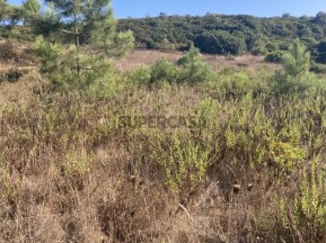 Terreno venda em Sesimbra (Castelo), Sesimbra