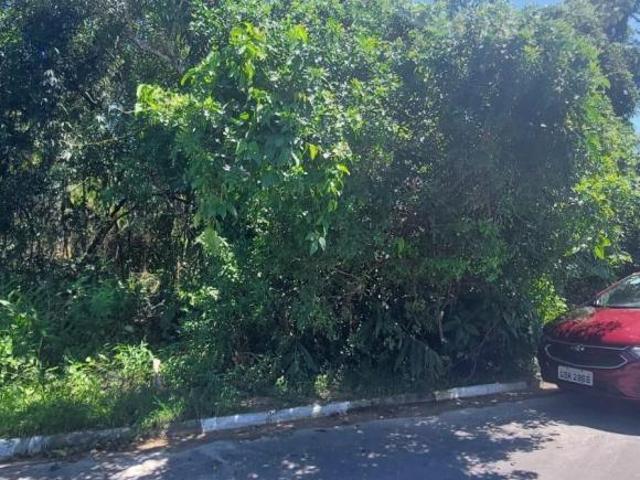 Terreno venda em Cananéia