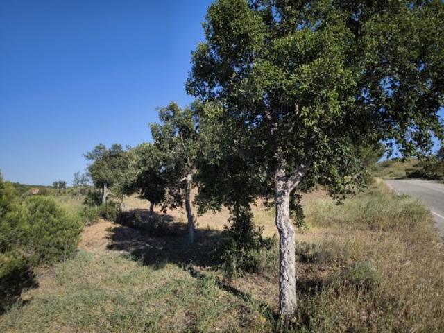 Terreno venda em Corte do Gago, Castro Marim
