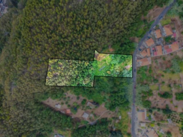 Terreno venda em Lajinhas, Funchal